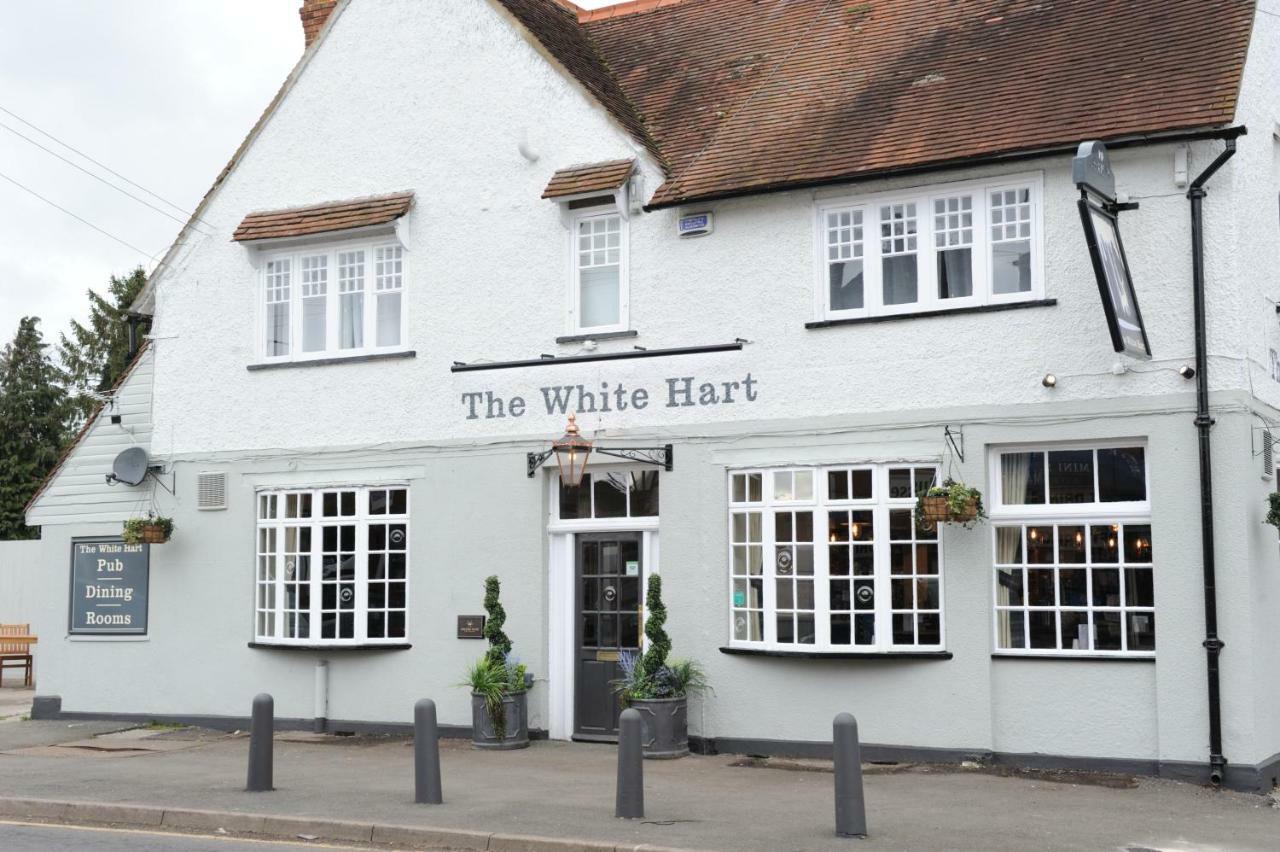 White Hart By Chef & Brewer Collection 호텔 차포드세인트자일스 외부 사진