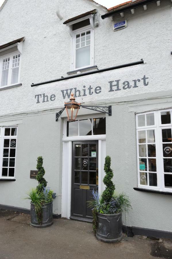 White Hart By Chef & Brewer Collection 호텔 차포드세인트자일스 외부 사진